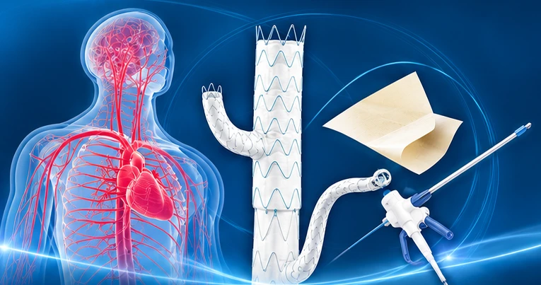 Anatomische Darstellung und Medizinprodukte