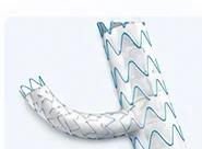 Aorten-Stent-Grafts